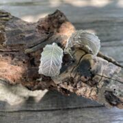 leaf-earrings-hoop-silver-back-sandrakernsjewellery