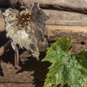 vineleaf-front-with leaf-sandrakernsjewellery